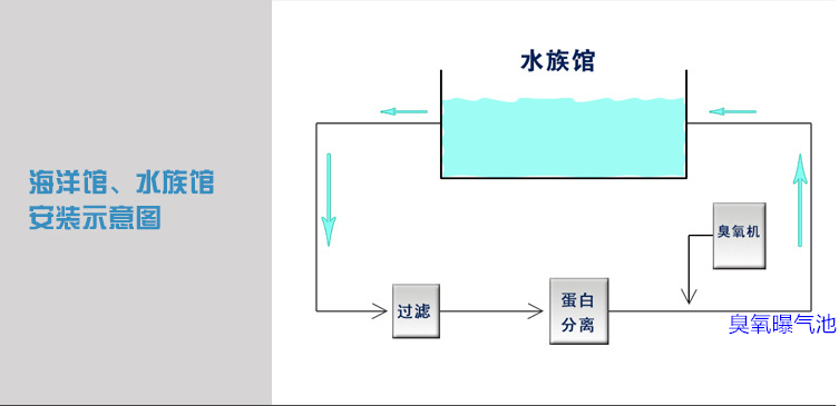 海洋館過濾，蛋分，臭氧，曝氣池.png
