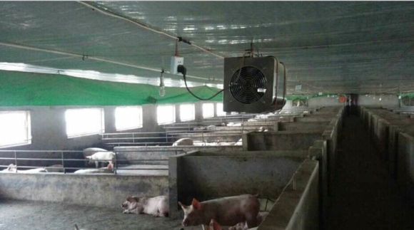 1544856269136406.jpg 2d75e56763dd98cd0ce856be1dcd50be_0db3cbef76094b36294786d5aecc7cd98c109dcb.jpg